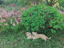 微信图片_20210704150750