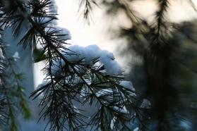 微信图片_20210704150802